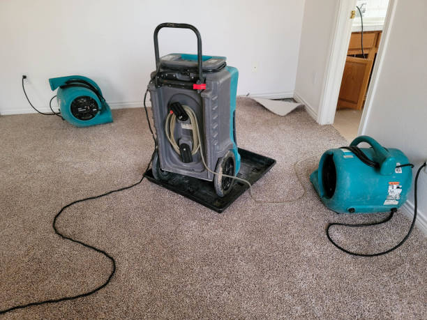 Best Carpet water damage restoration  in Romoland, CA