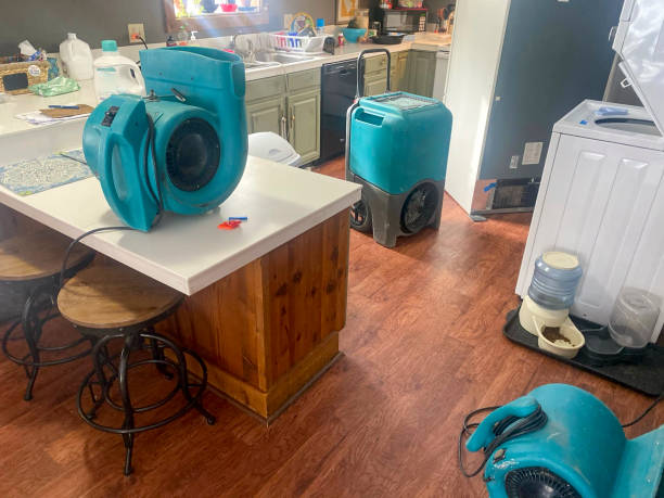 Best 24-hour water damage restoration  in Romoland, CA
