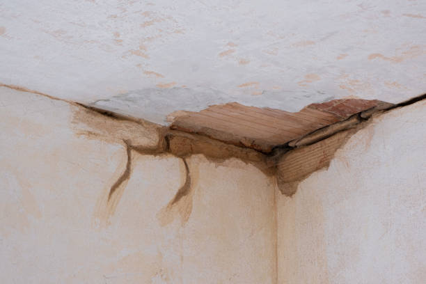 Best Ceiling water damage repair  in Romoland, CA