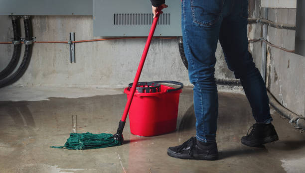 Best Water damage mitigation services  in Romoland, CA