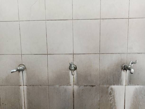 Best Carpet water damage restoration  in Romoland, CA