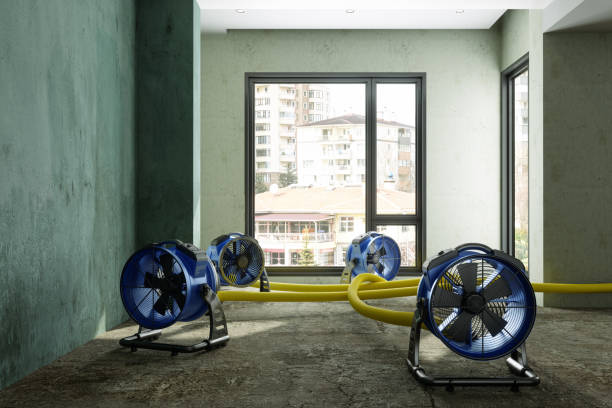 Best Sewage cleanup and water damage restoration  in Romoland, CA